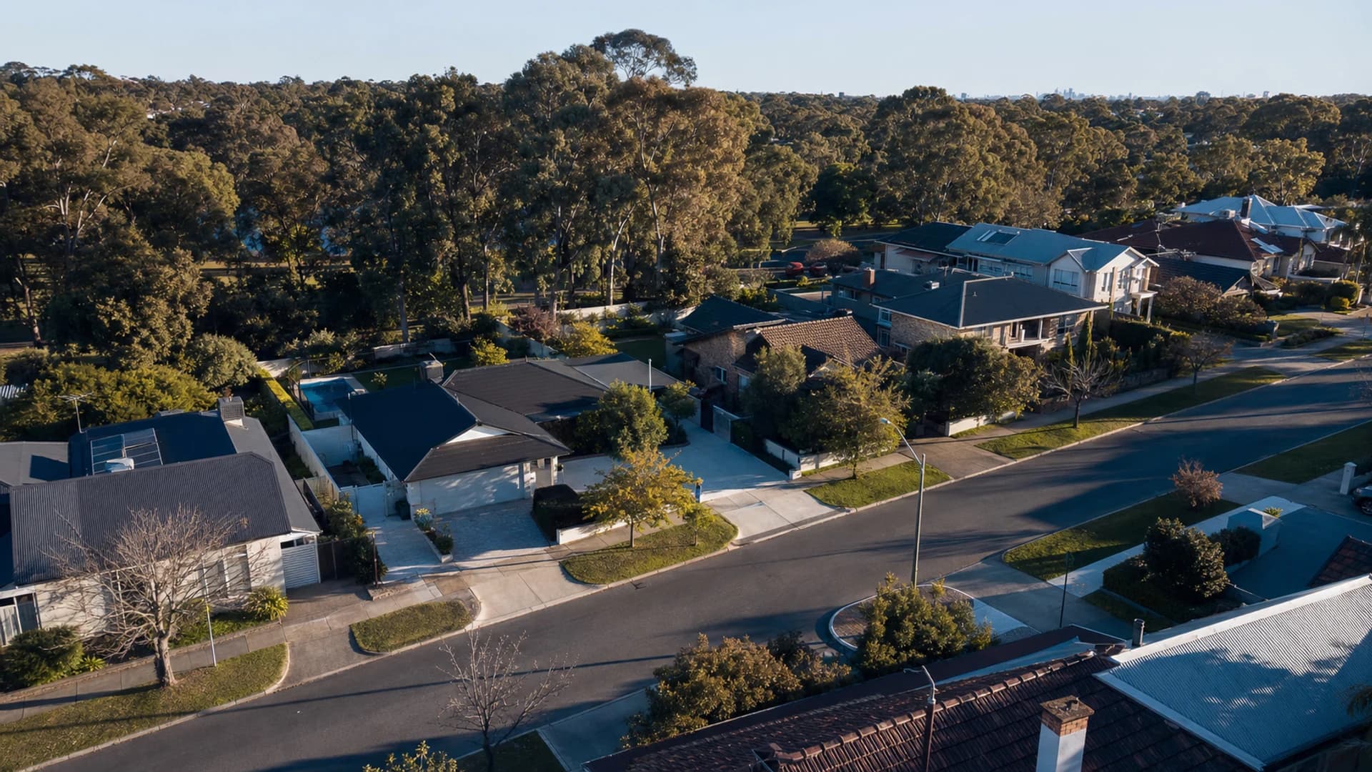 Established homes along a tree-lined suburban street